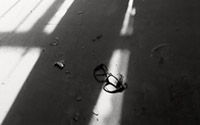 Una mirada comprometida